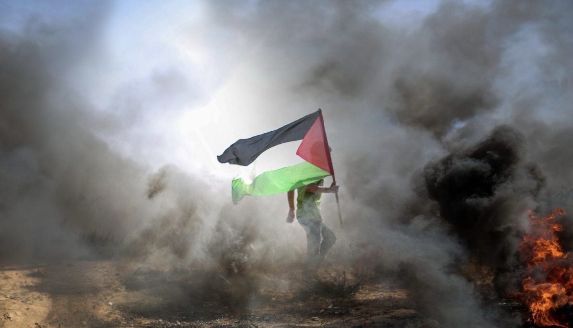 Free Palestine 🇵🇸